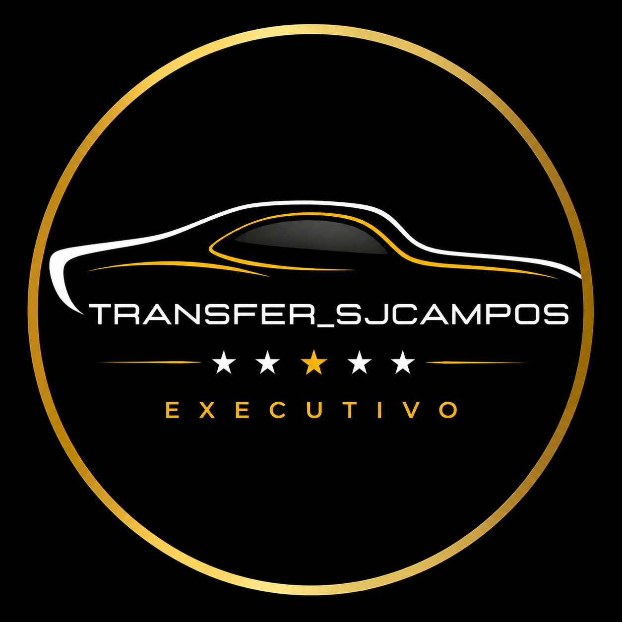 Logo TRANSFER_SJCAMPOS